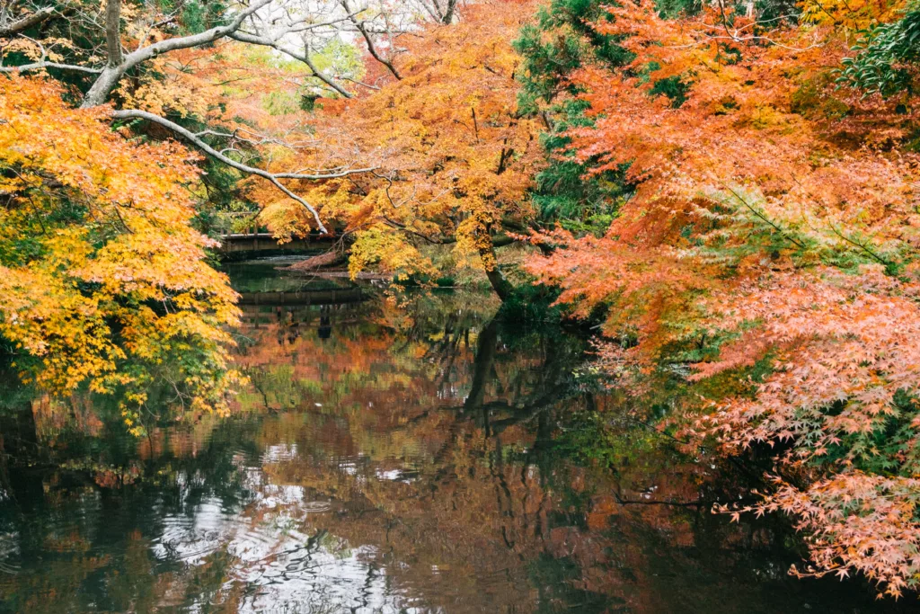 Nature in Yufu, Oita prefecture in Japan's westernmost island of Kyushu. Hawaiian's new flights to Fukuoka make it easier to access Kyushu.