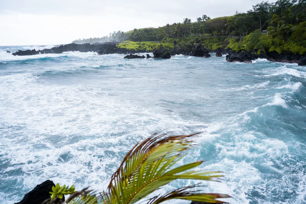 green palm tree near sea during daytime stockpack unsplash 1 - Maui,hidden gems