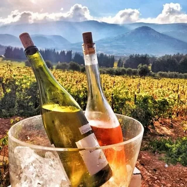 Chateau Kefraya Wine jpeg - wineries,lebanon