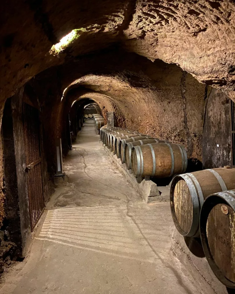 Chateau Ksara Wine - wineries,lebanon