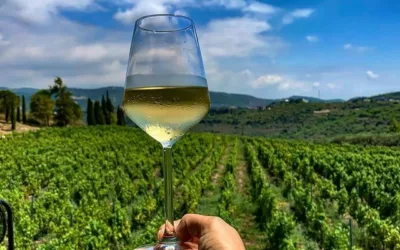 8 Best Wineries to Visit in Lebanon in 2023