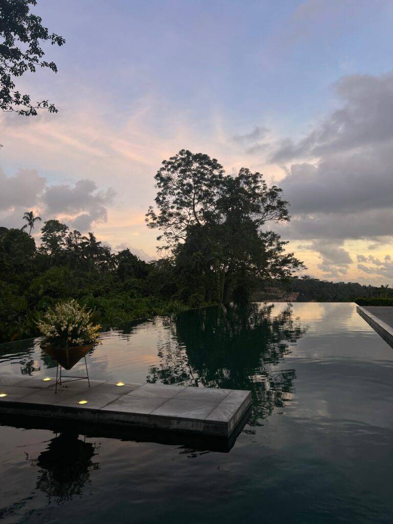 Alila Ubud pool