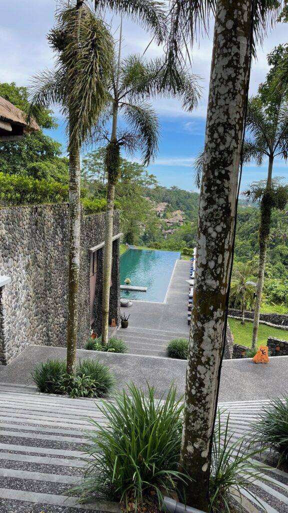 Alila Ubud pool