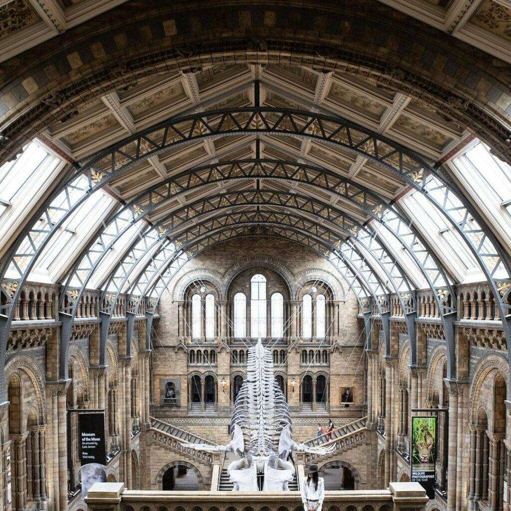 Natural History Museum 1 - best photo spots in London