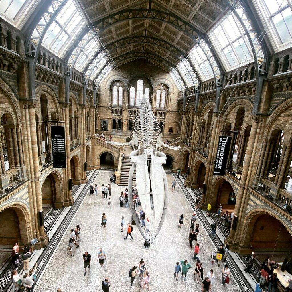 Natural History Museum 2 - best photo spots in London